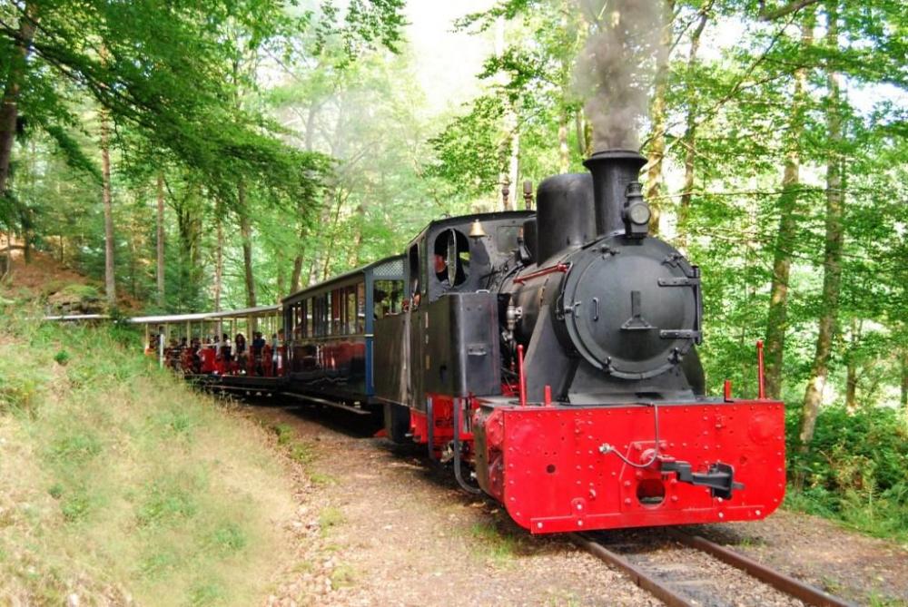 la-locomotive-jung-va-bientot-reprendre-du-service-photo-rl-1621500351.thumb.jpg.09bfad36e189a991a9b4d907bc1e36c8.jpg