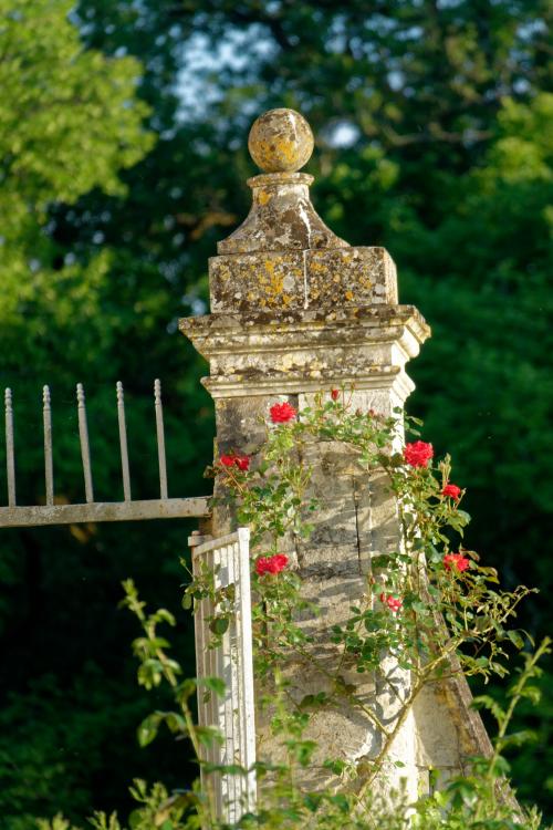 J001 chateau de gizeux (14).jpg