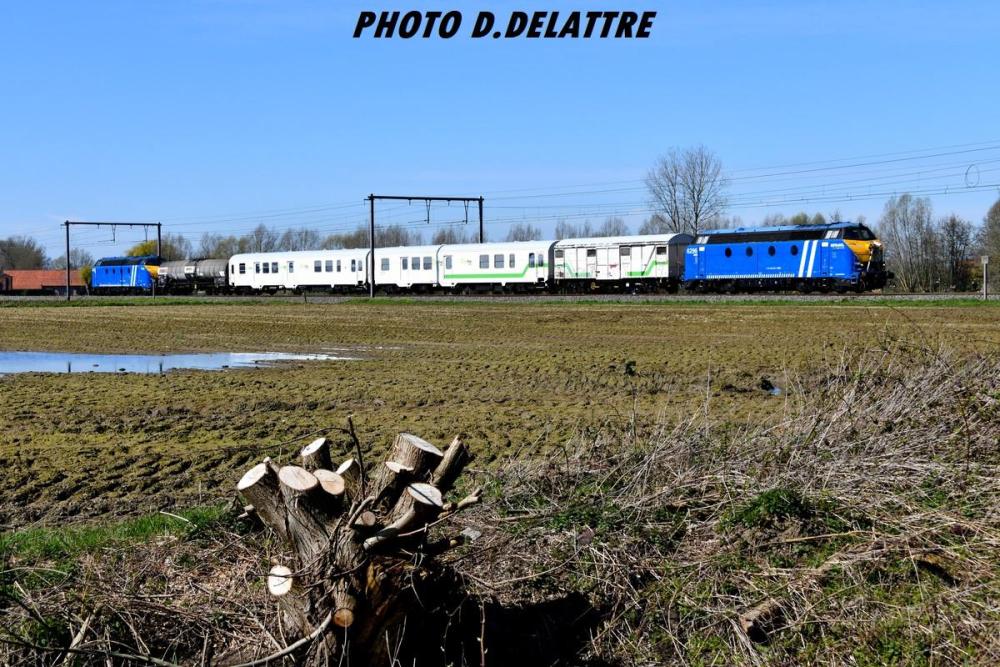 SNCB62962170.thumb.JPG.83fb1cba7c889d43f65ee41f8ed323a9.JPG