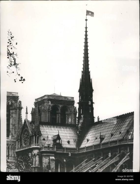 jan-01-1969-vietcong-flag-removed-from-spire-of-notre-dame-cathedral-E0Y7EC.thumb.jpg.100ad9aacd155354d2da9f0c049f7386.jpg