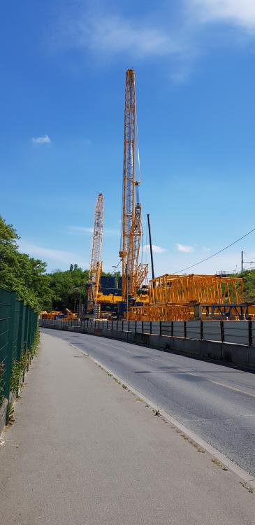 Petite grue.jpg