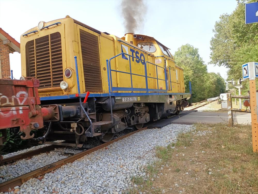 IMG20230906165526.jpg