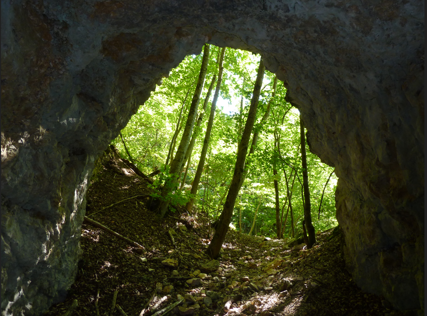 Tunnel.png.c997563c5e052ef5199d4e78d443f23f.png