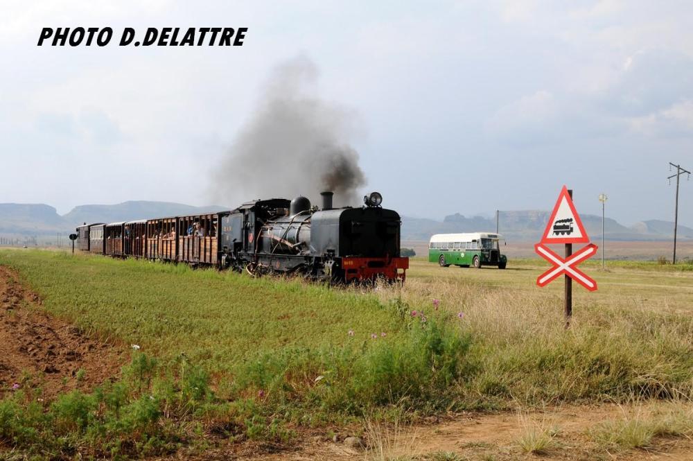 DSC_0779-Copie.thumb.JPG.1c30e3280edd70dca7bb2369ace100f4.JPG