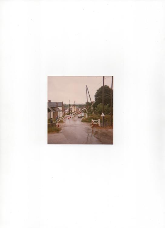 photo.jpg