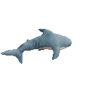 CheminotWallon